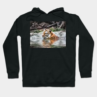 Tiger Swimming Hoodie